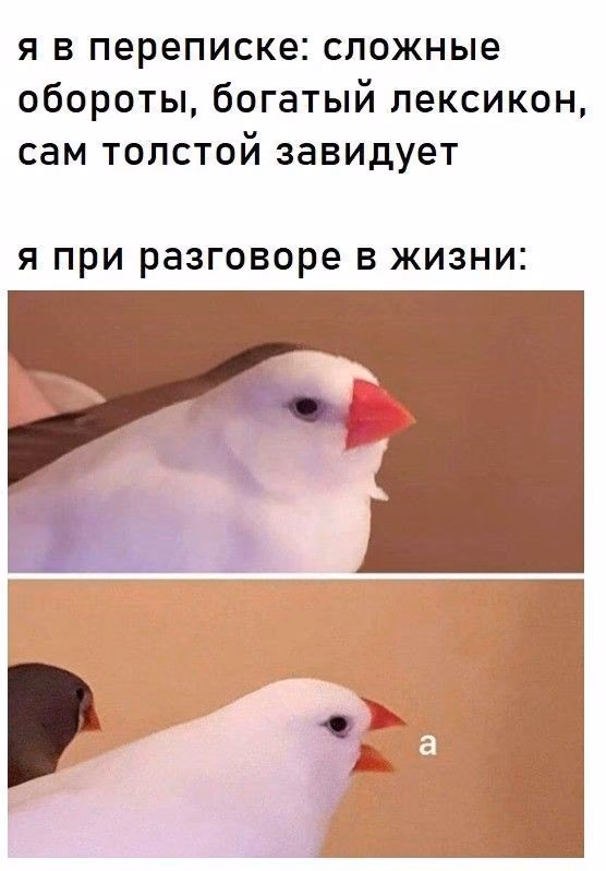 519cc1fa1fce915087999f1e8d12a95e.avif