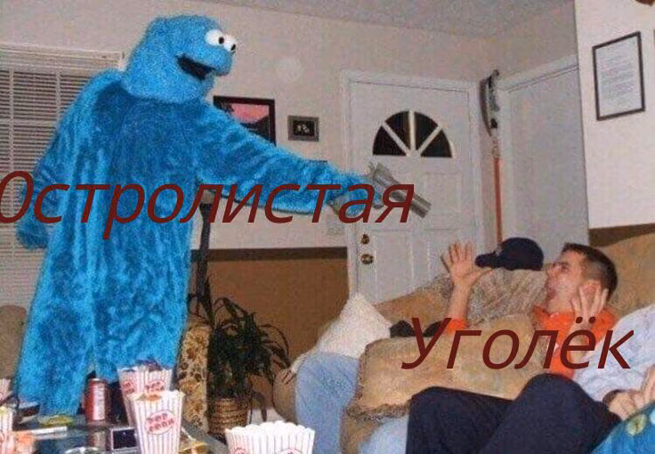51a4503301c7cfc3f0d31af5d139929d.avif