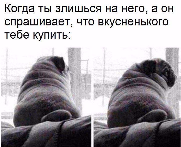 51c5e4f5891ad93d28f09ecde4c8aeaa.avif