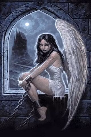 51d00506b9a7d9c2bb05f4747e97f755.avif