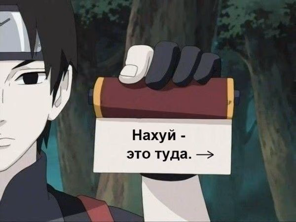 51d1af8ad2b07c4c7c24ae142e0401ad.avif