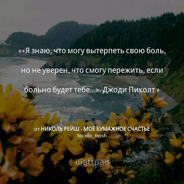 51d63e4166abb4bdbde62b35ff3683e2.jpg