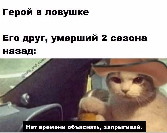 51da5ba33ef4ffe6b0bd24200079878b.avif
