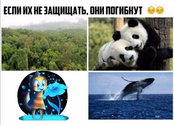 51ea1648cb4d3eb391091ce145a92606.jpg