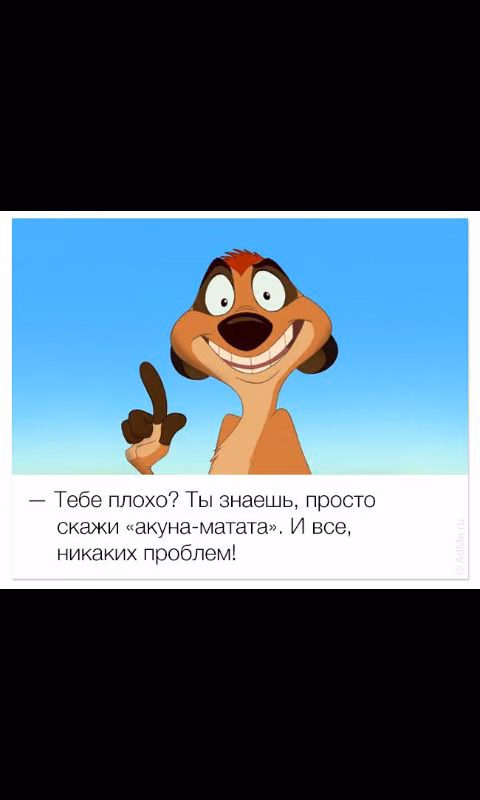 51f1ff10ce6fd24e82b61318d4ceefab.avif
