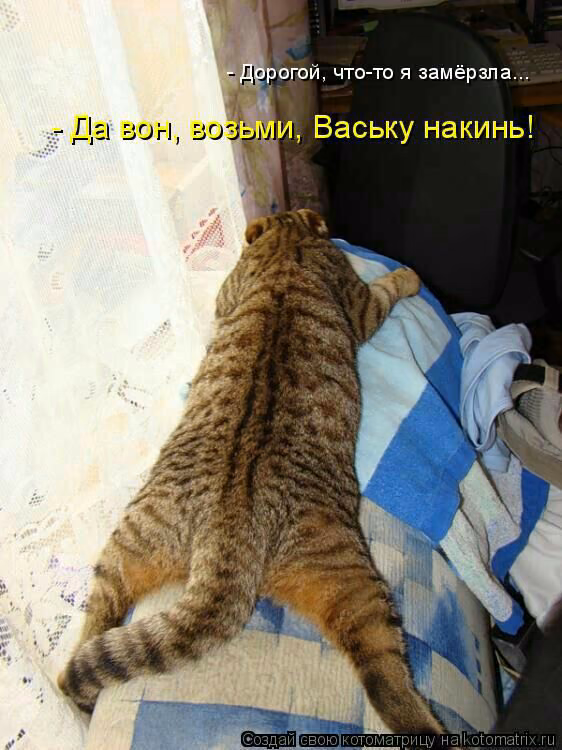 51f514e7c852af8da01cb578826e5bba.jpg
