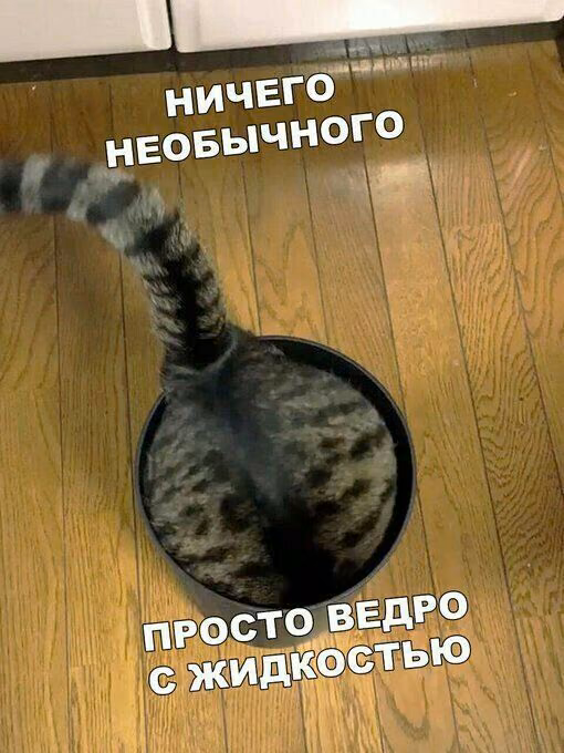 5204b7c8fb4737b6bda11cb73bec2723.jpg