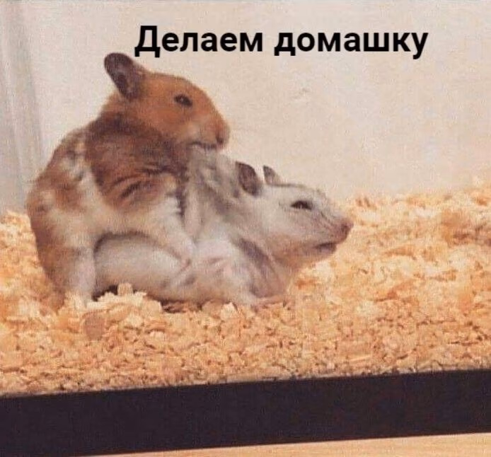 521f4c853fe9063c2fef4c5685eb9ccb.jpg