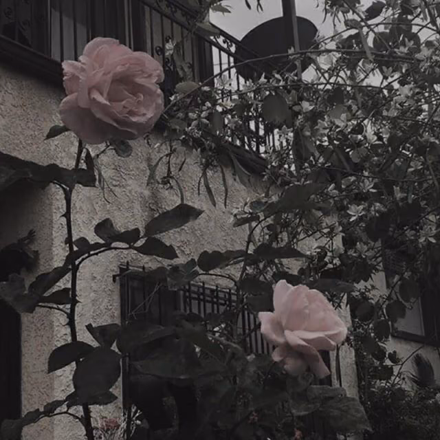 52236397e2b4932f4ac9e39f0c01c089.jpg