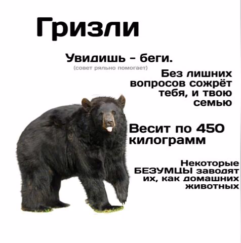 52566862a14719bf0f3dffaec4405844.jpg