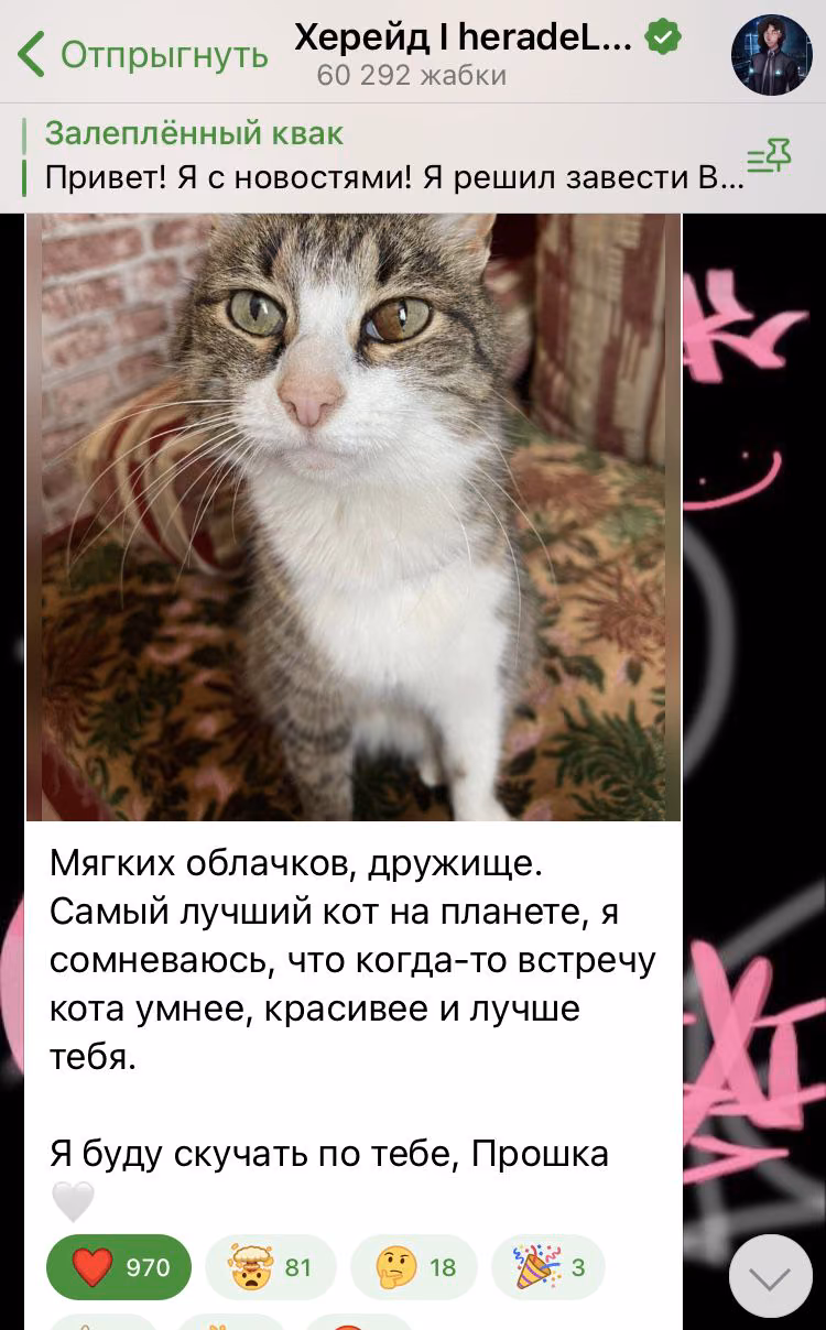 52716ec823e3e3b8ea27a3f4b4f1fbd2.avif