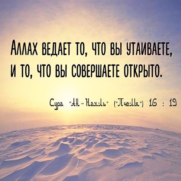5283cf0769d997000e0ea87dea3a773d.jpg
