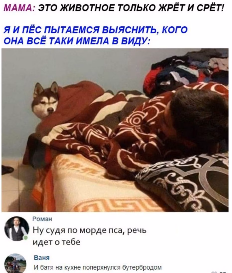 529b7ef401c73abb3f98de317555c946.jpg