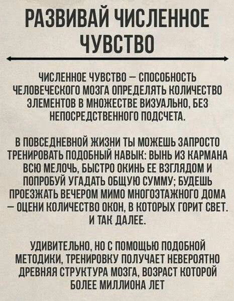 52a0f2aa38eb26cbae0aa3c66010104b.jpg