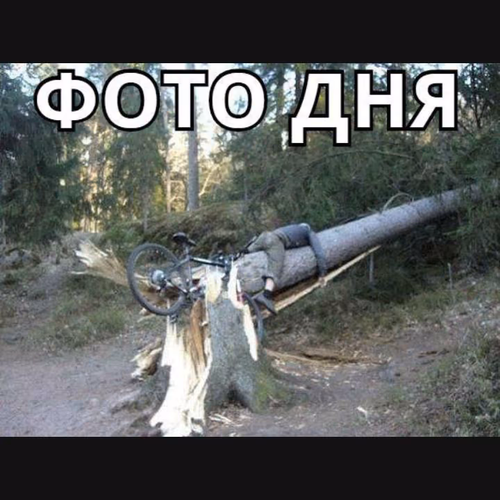 52a49da1b133192d162c950d90c50048.jpg