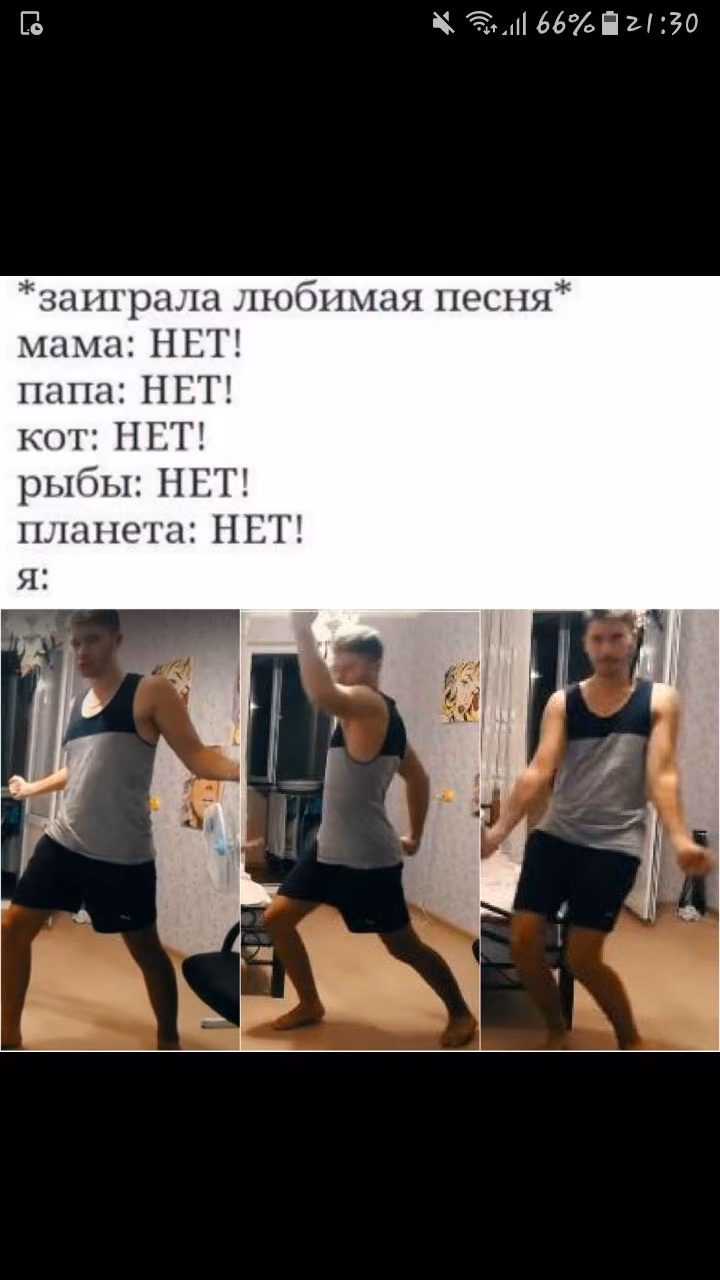 52bf7d7bdf5ad2e2e639f3d8cdff394a.avif