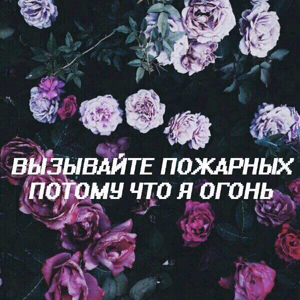 52c824f7123ed2ef2e49232db695b94e.jpg