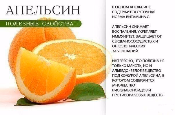 52db4767288c5de42ddd5453f33b4c2f.avif