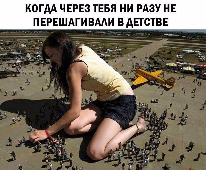 52deb7f7c2735a3ba4274293e5505846.avif