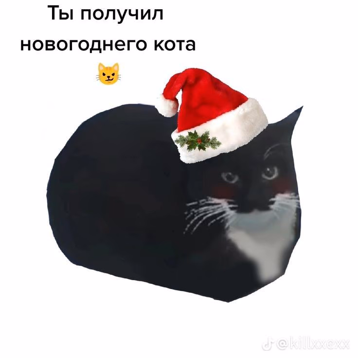 52e227c5da0e780654df528cc1a77a7f.jpg
