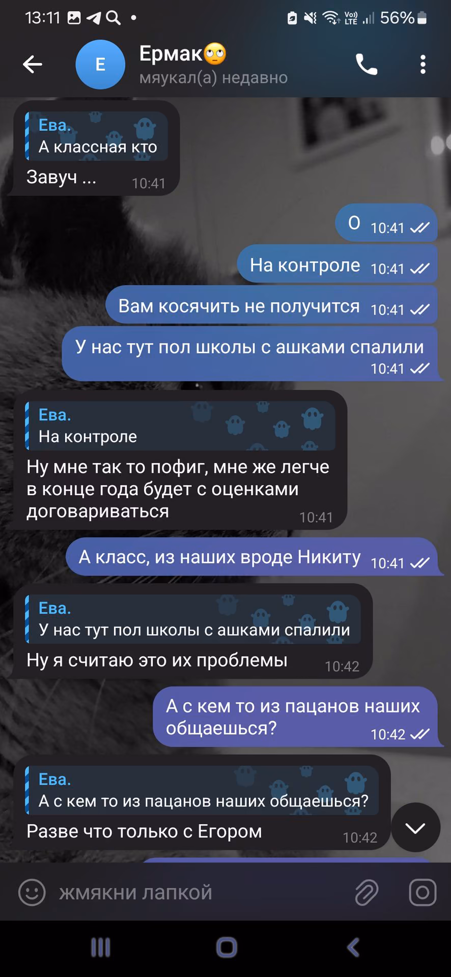 52e4b9bf052253a0c404abf7eb7ba516.jpg