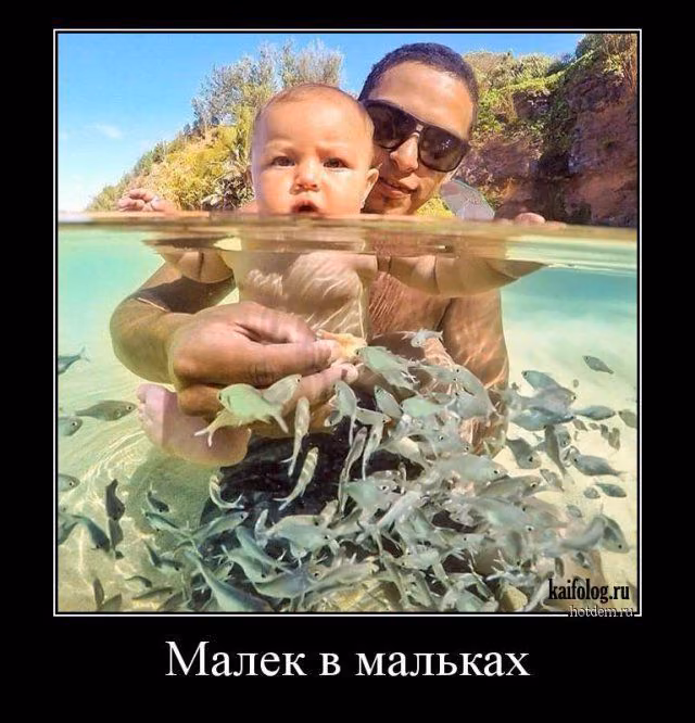 52ef2e8c657cdda4674c47bb8b0b5da5.jpg