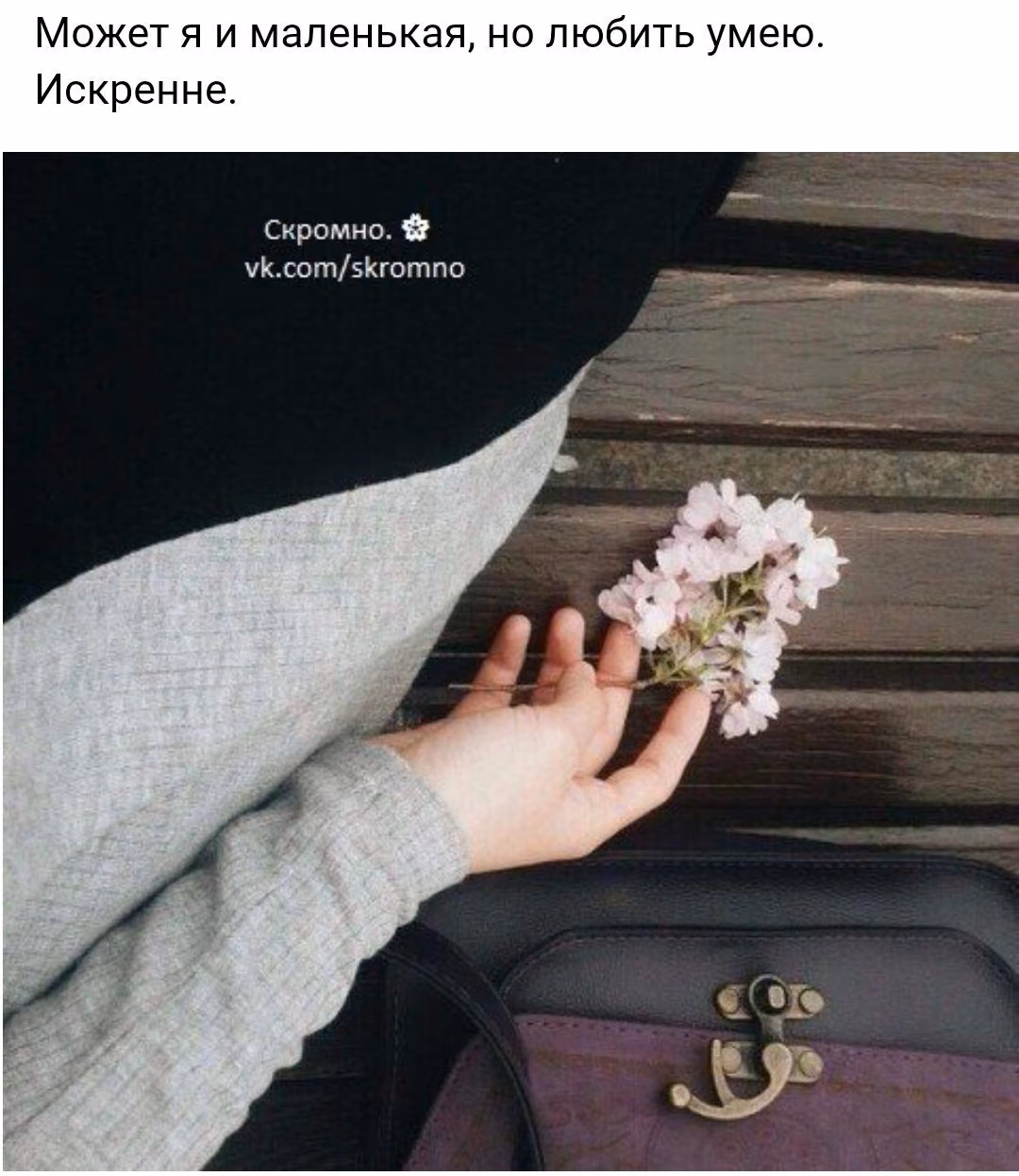 52f3a58990ab78ed93aeb4fdd99a8971.avif
