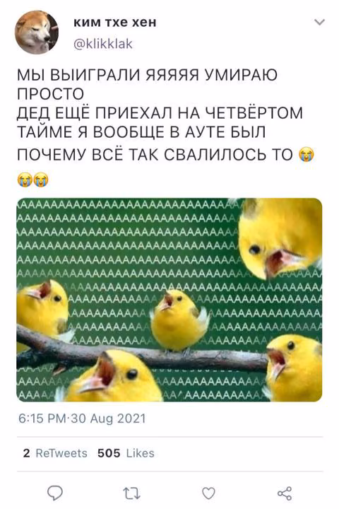 52f429aa67993d54efa2bc43c65799b8.avif