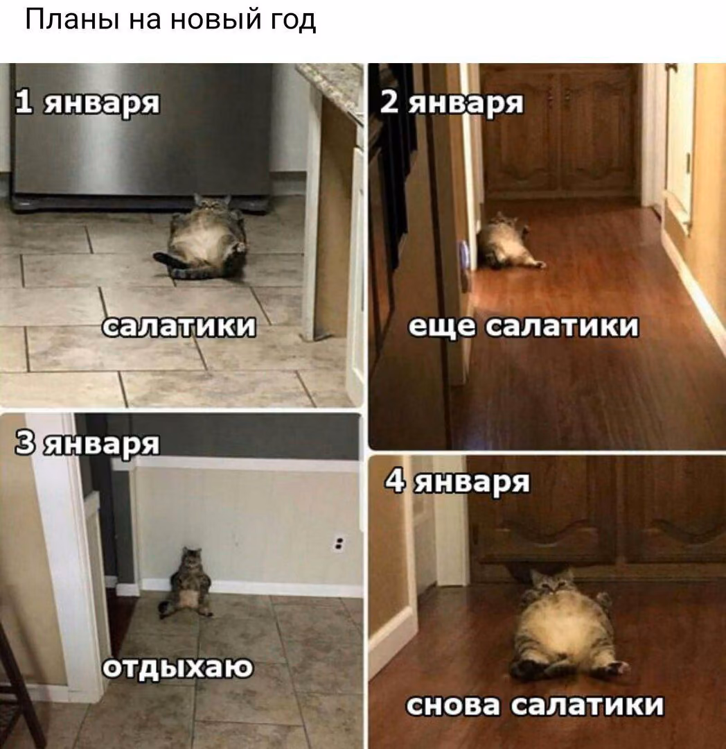 52fce9ec572828fc699f8271060803ec.avif