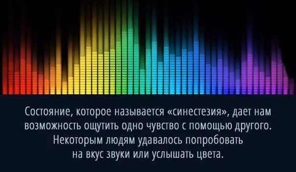 52ffe2cb207e36639a9d48ba5dd6b21b.avif