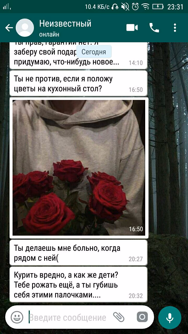 530246231f18de292c8ddff3b031efc4.avif