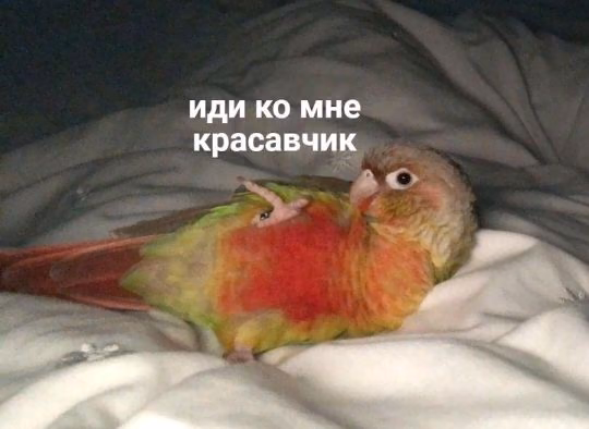 533fdc11535571b02e6333154dcdd818.jpg