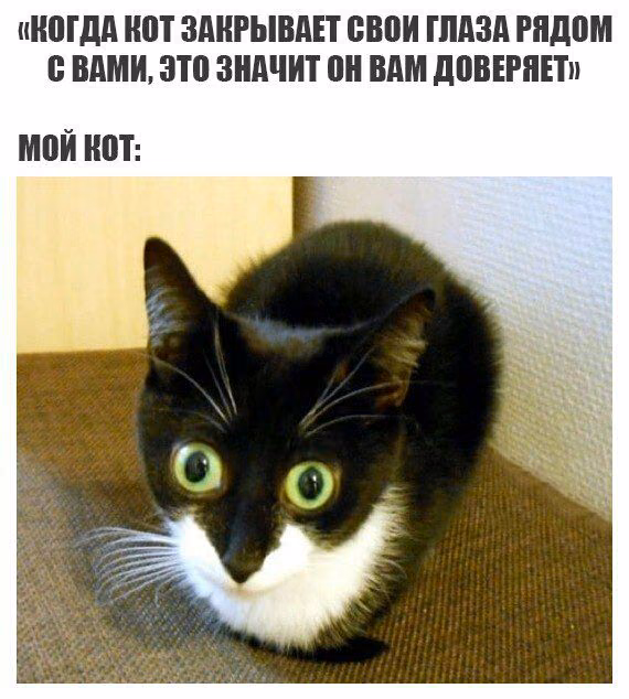 5347240f9d1e86b70d7a3f55b5d860e1.jpg