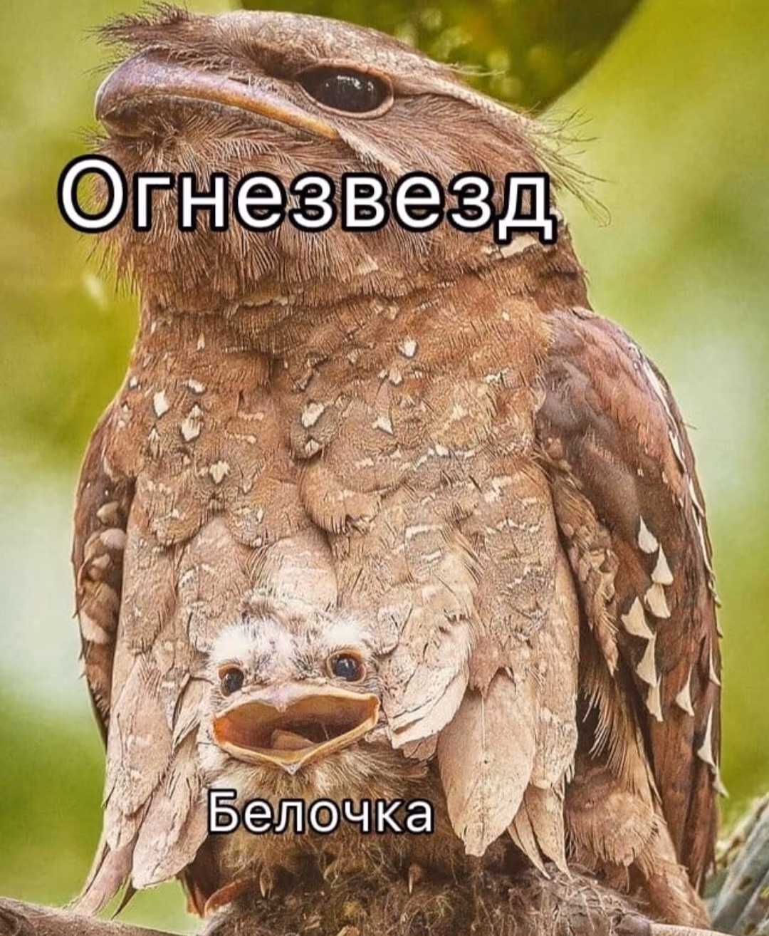 534c612de67f92f15f539ceac9ad09ce.avif