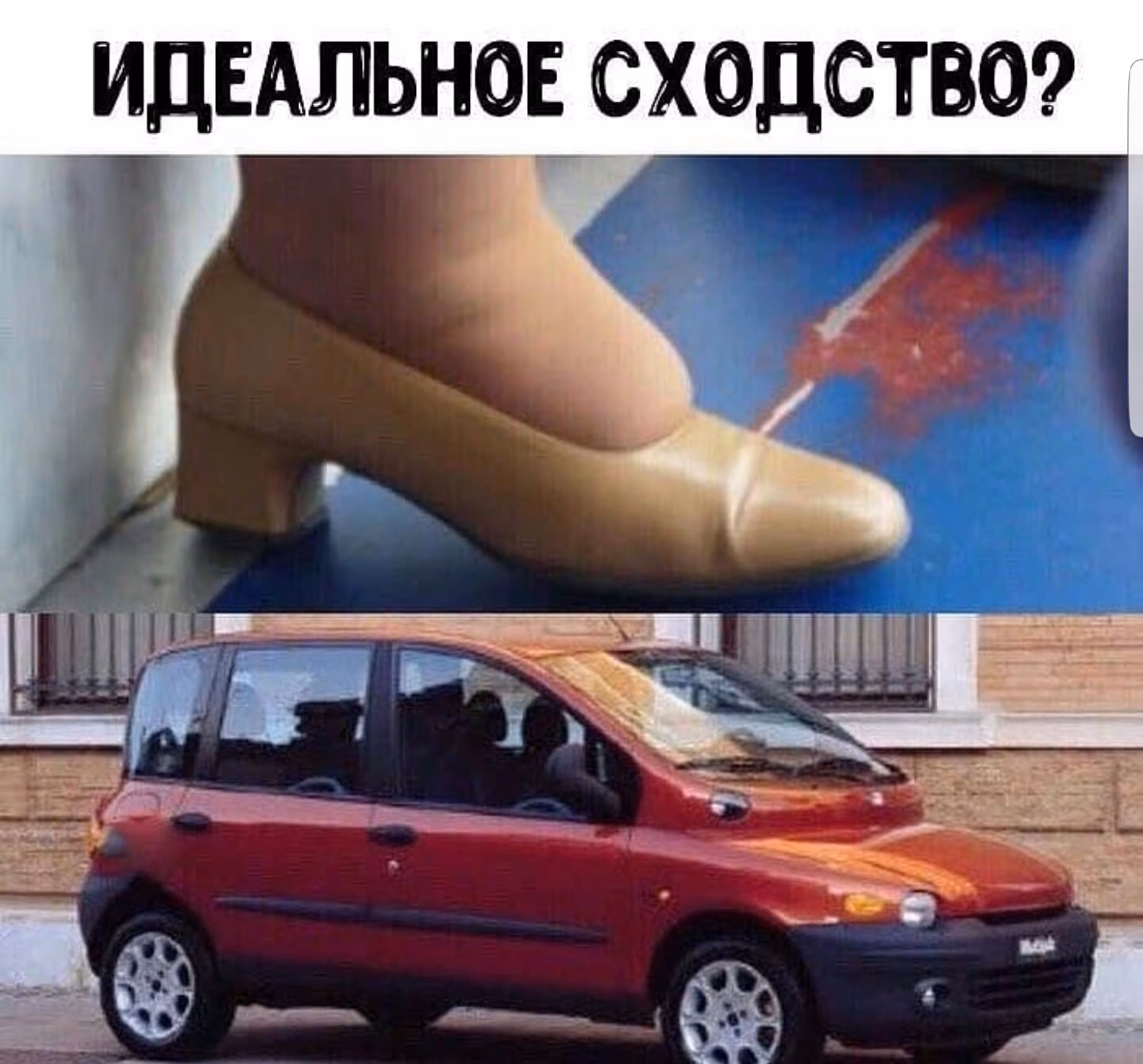 536666ec23420bed4aa0a1354cdd3f0d.avif