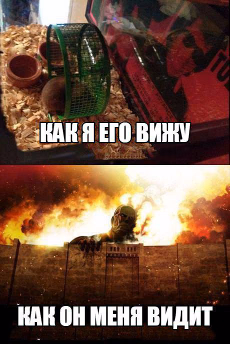 53767854f121e4631748463007e1197c.avif