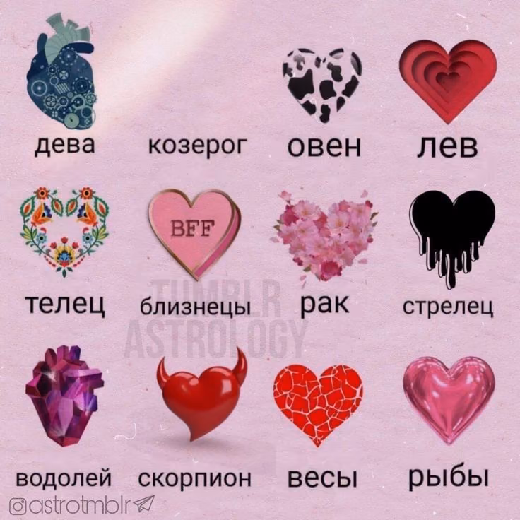 539b9dc8c071bbd41e1c01884c4cd331.avif