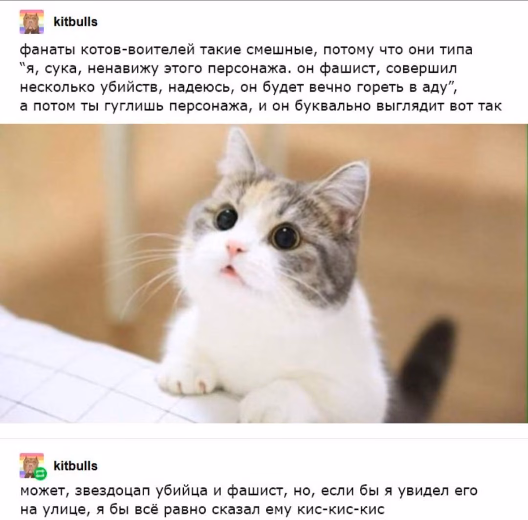 53ae59d2d6413b41504aa17780424015.avif