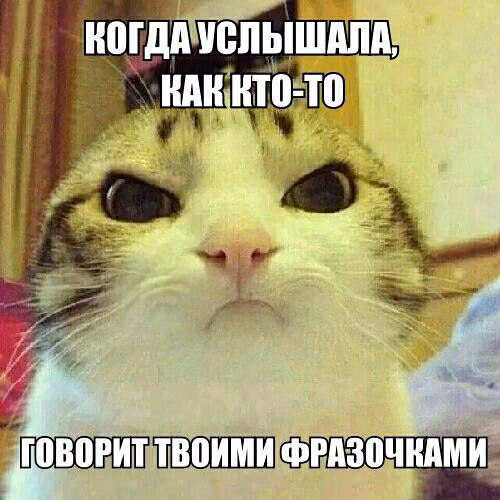 53ba569fe49dd314a7cea875cbc8a2c1.jpg
