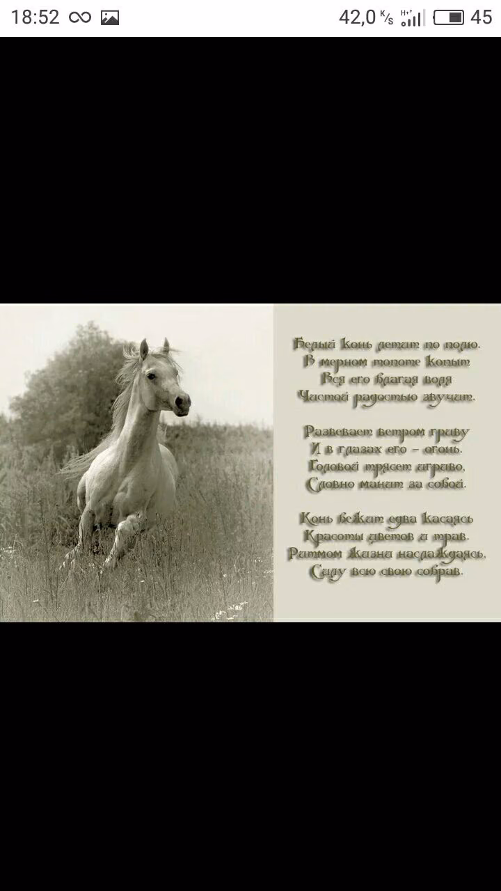 53cb5bfd51bbeaaf593edd7c6f712e35.avif
