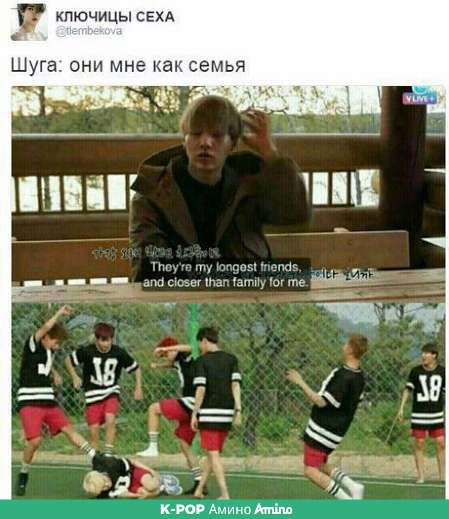 53d0fc6eaa0af777584ca8d6ebe9253d.jpg