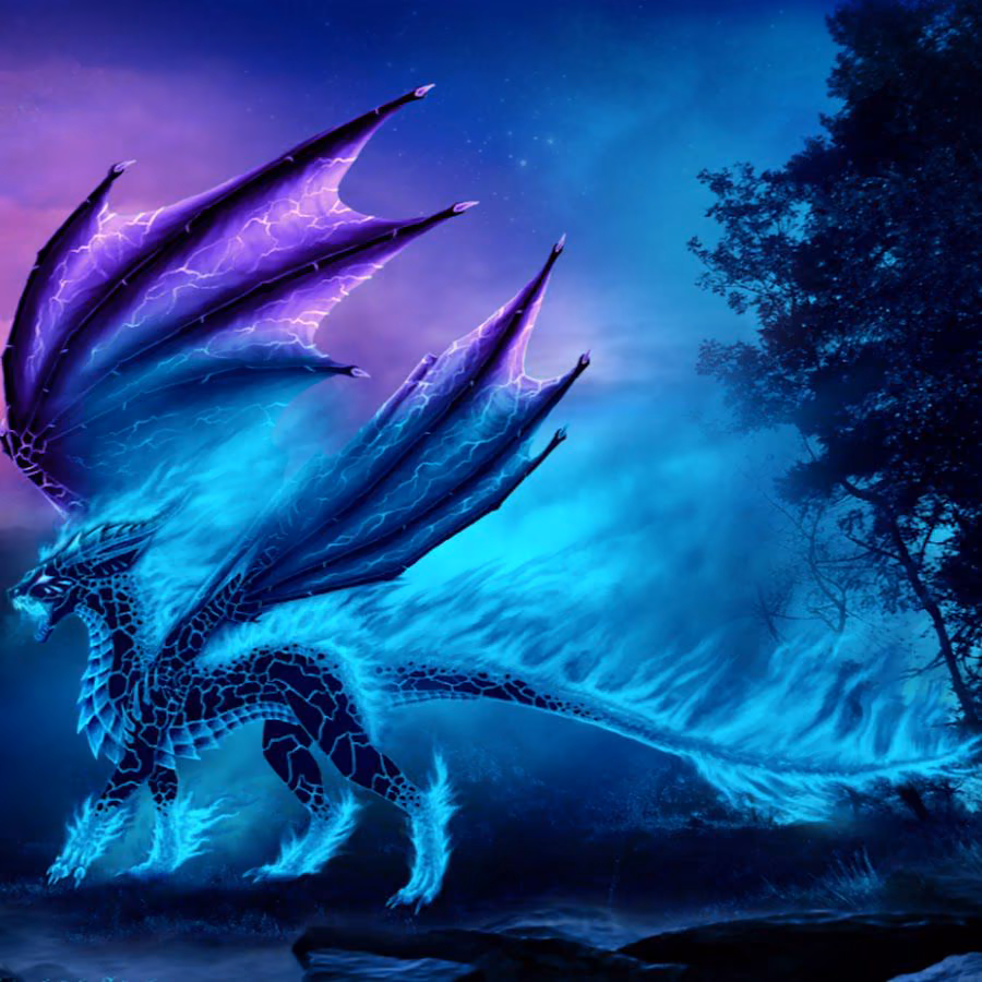 53d1fc4b64e475d20e75a5f0f02d582e.avif
