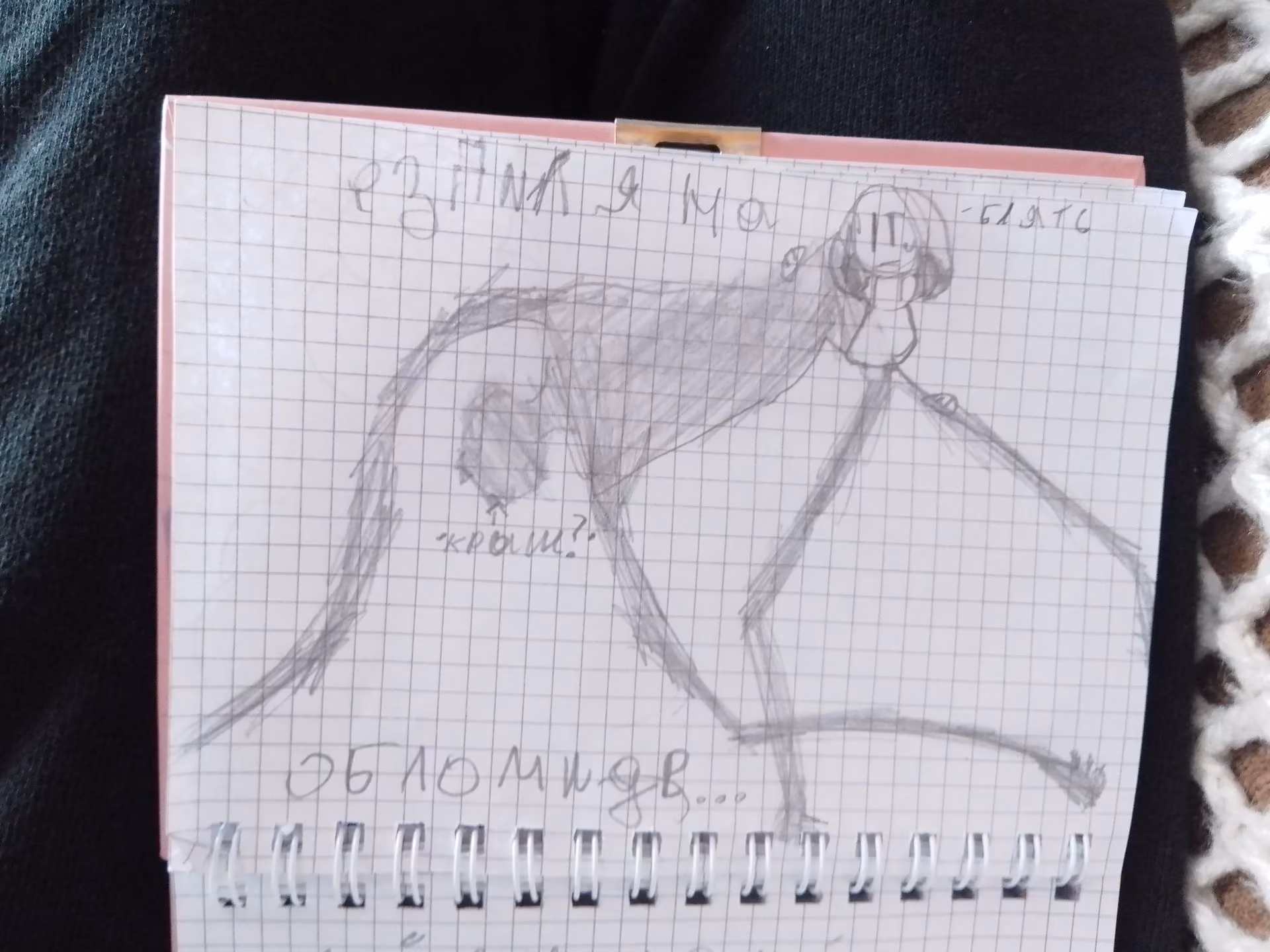 53edd2af8ce05e085d7f12383198c26a.jpg