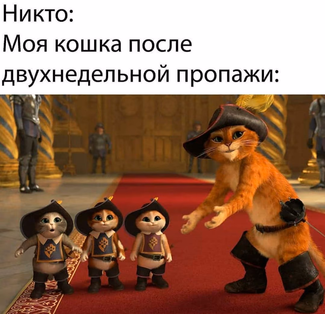 53fe043811f9fe20df8a70cc8b7b48f6.jpg