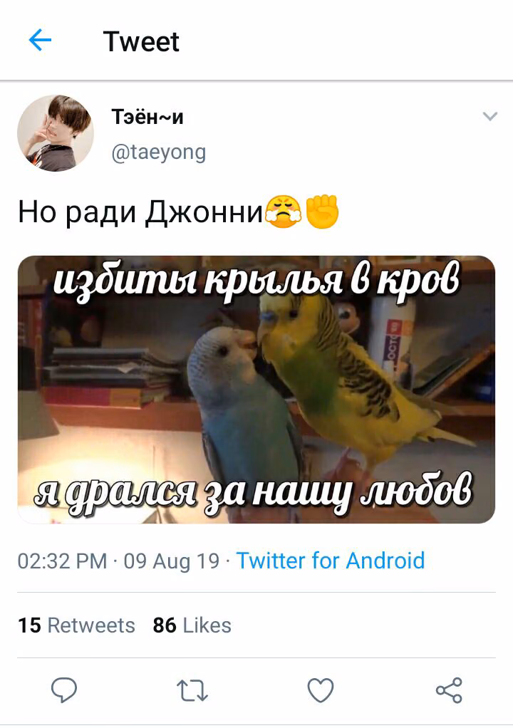 5409c2670a9a1ea3b98fd497e90f9786.avif