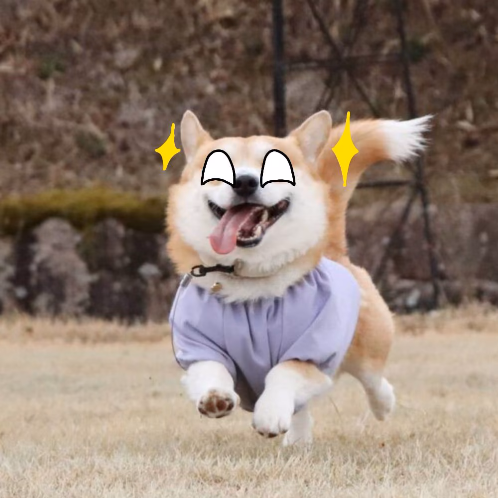 540bdd8e44212866458274b86a3225b7.avif