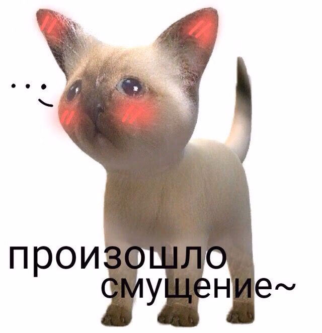 540fbacdf851e1c3486f2f44419a1eec.jpg