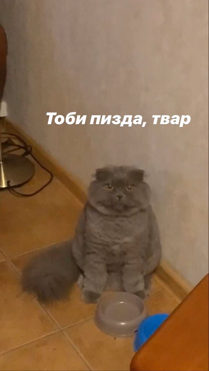 54150bbd8dc74f81b100f001fa4a6d95.avif