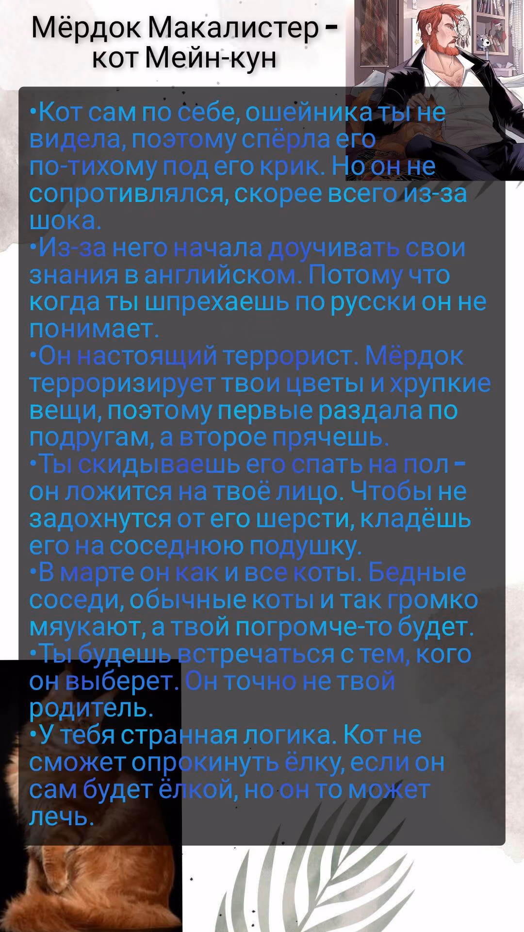 541640662bf47973c11f673334023fae.avif