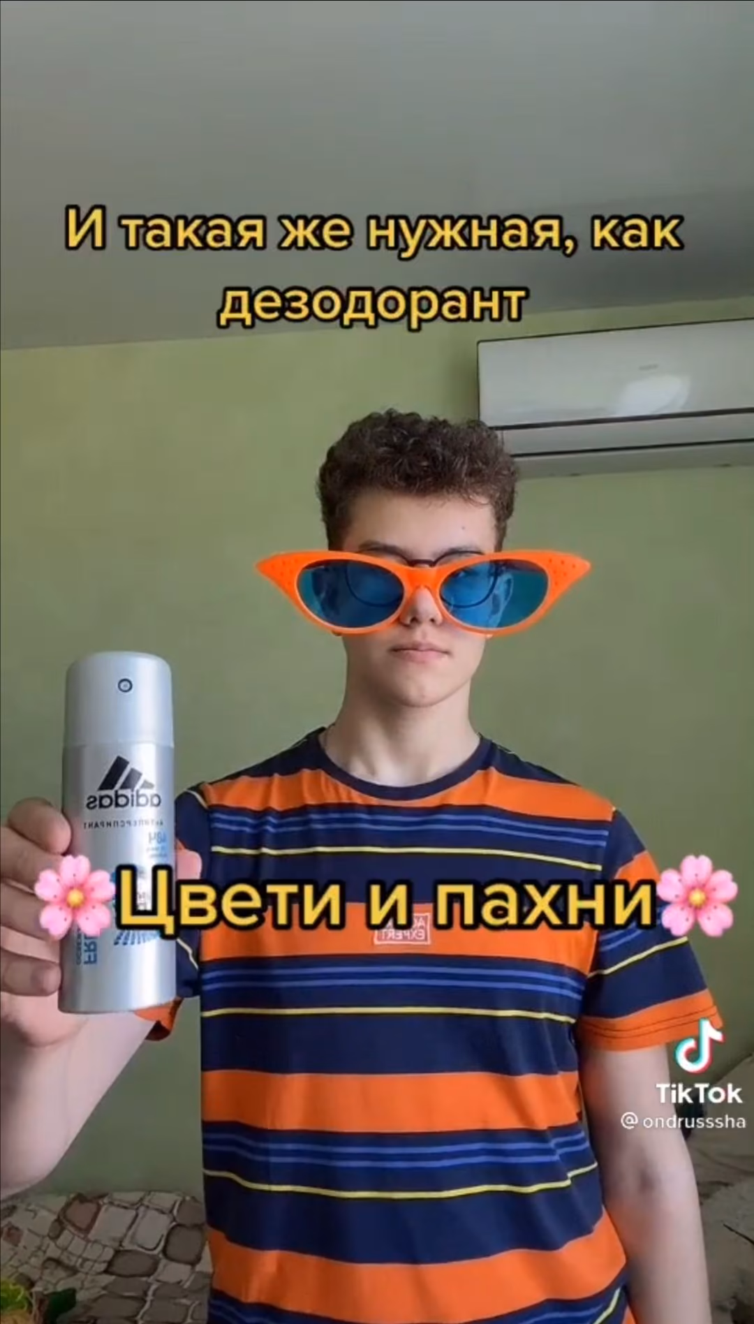 541f7eca4911840c1f36da4a7ace652f.avif